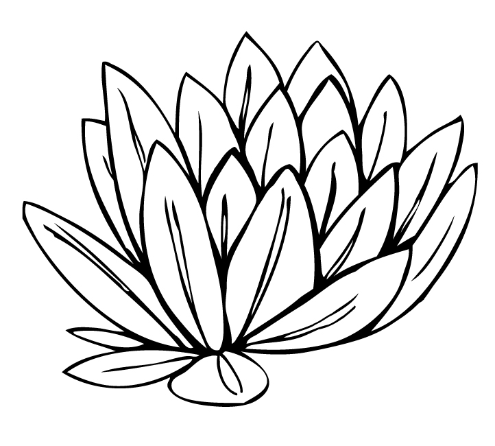 722x650 Star Lily Flower Black And White Clipart