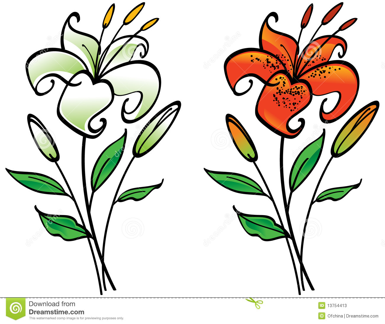 1300x1095 White Lily Flower Clipart