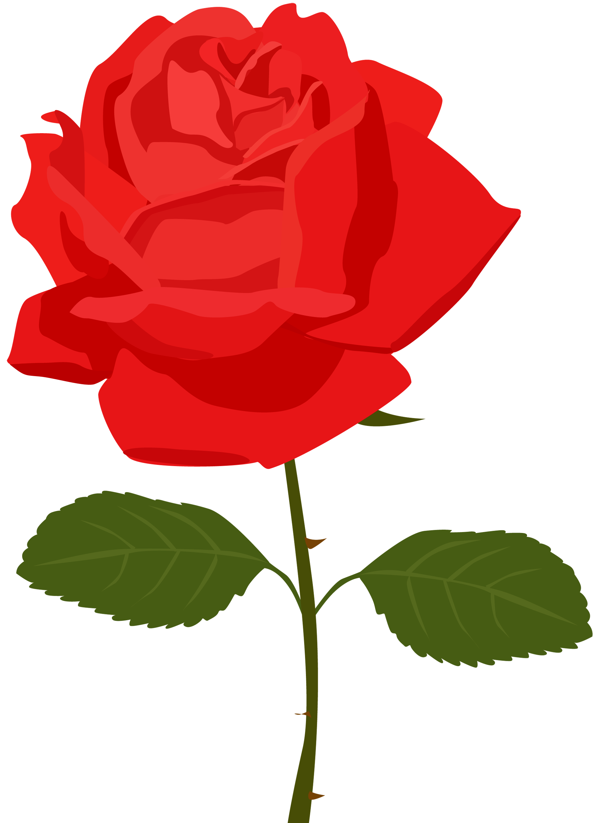 1950x2707 Rose Images Clipart Collection