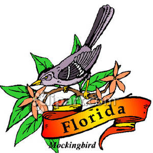 300x300 Bird Of Florida, The Mockingbird Royalty Free Clipart Picture