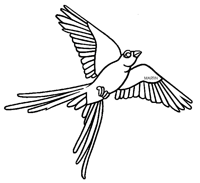 648x594 United States Clip Art By Phillip Martin, State Bird Of Oklahoma