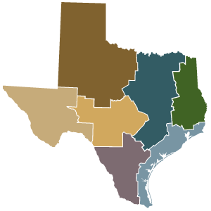 300x300 Texas