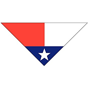 350x350 Texas Flag Dog Bandana