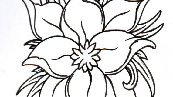 570x320 Lotus Flower Outline Drawing Best Ideas About Lotus Drawing