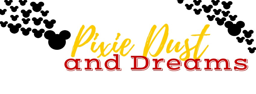 851x315 Disney World Tips Stay Cool