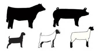 345x180 Livestock Show Clipart