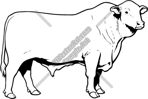 Steer Clipart | Free download on ClipArtMag