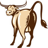 170x169 Steer Clip Art