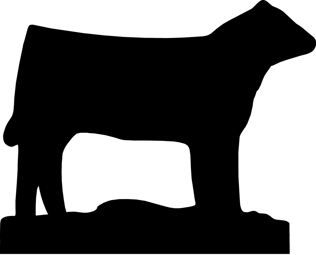 1020x825 Steer Clip Art Many Interesting Cliparts