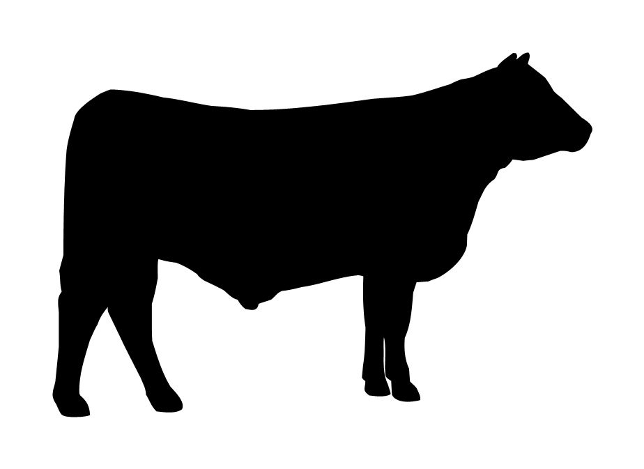 924x673 Steer Clipart