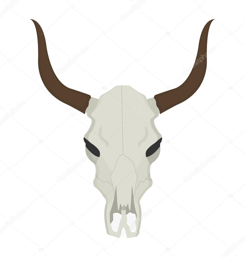 976x1023 Cow Skull With Horns Stock Vector Bsd