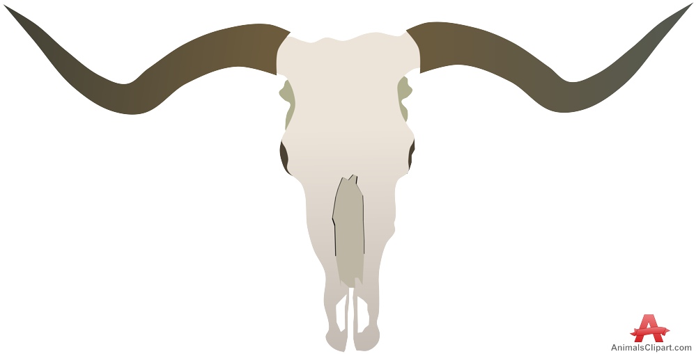 999x509 Longhorn Cattle Clipart Bull Horn