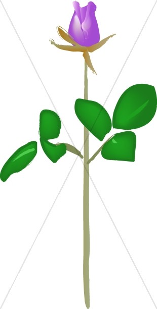 310x612 Deep Purple Rose Stem Church Rose Clipart