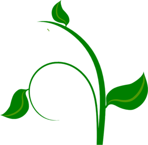 299x294 The Green Stem Clipart