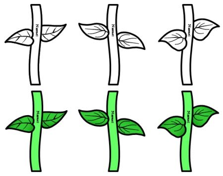 450x356 White Flower Clipart Stem Template