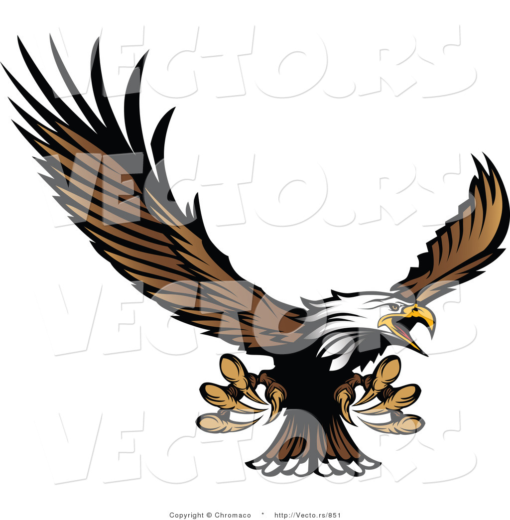 1024x1044 Wildcat Clipart Eagle Claw