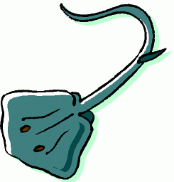 245x256 Regular Clip Completely Free