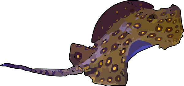 600x282 Stingray Sting Ray Clip Art