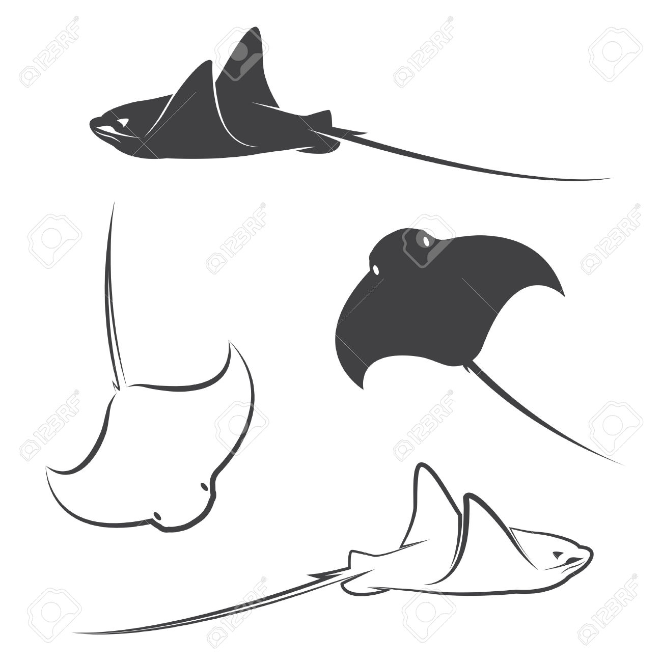 1300x1300 Stingray Clipart Baby