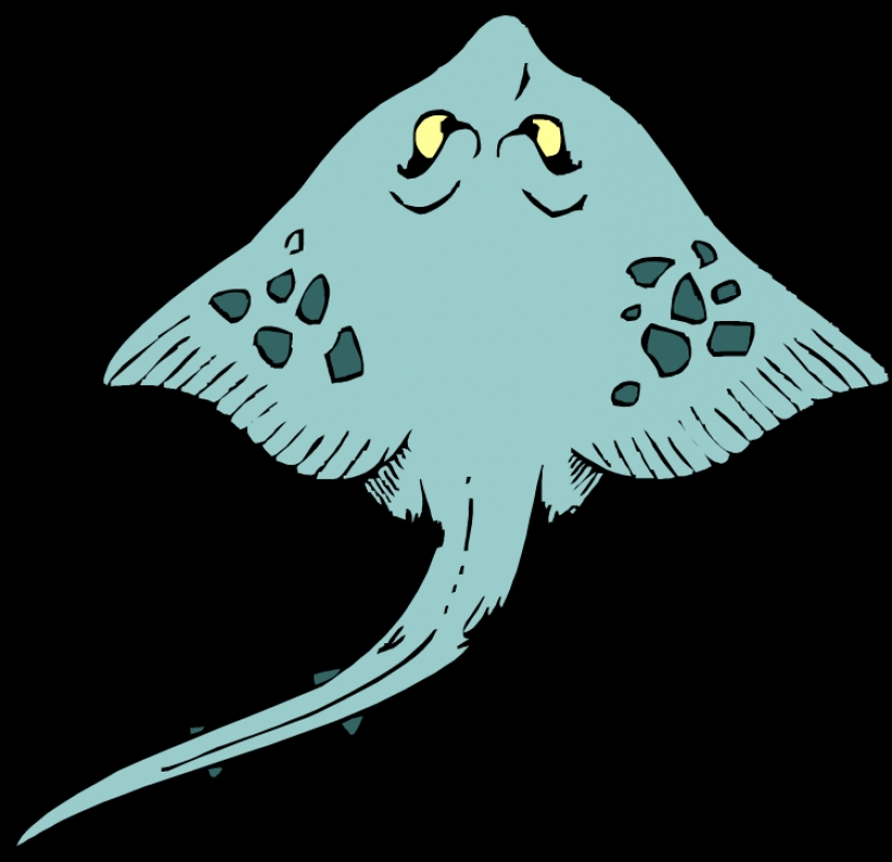 820x792 Stingray Clipart Free Download Clip Art Free Clip Art Onpng Sting