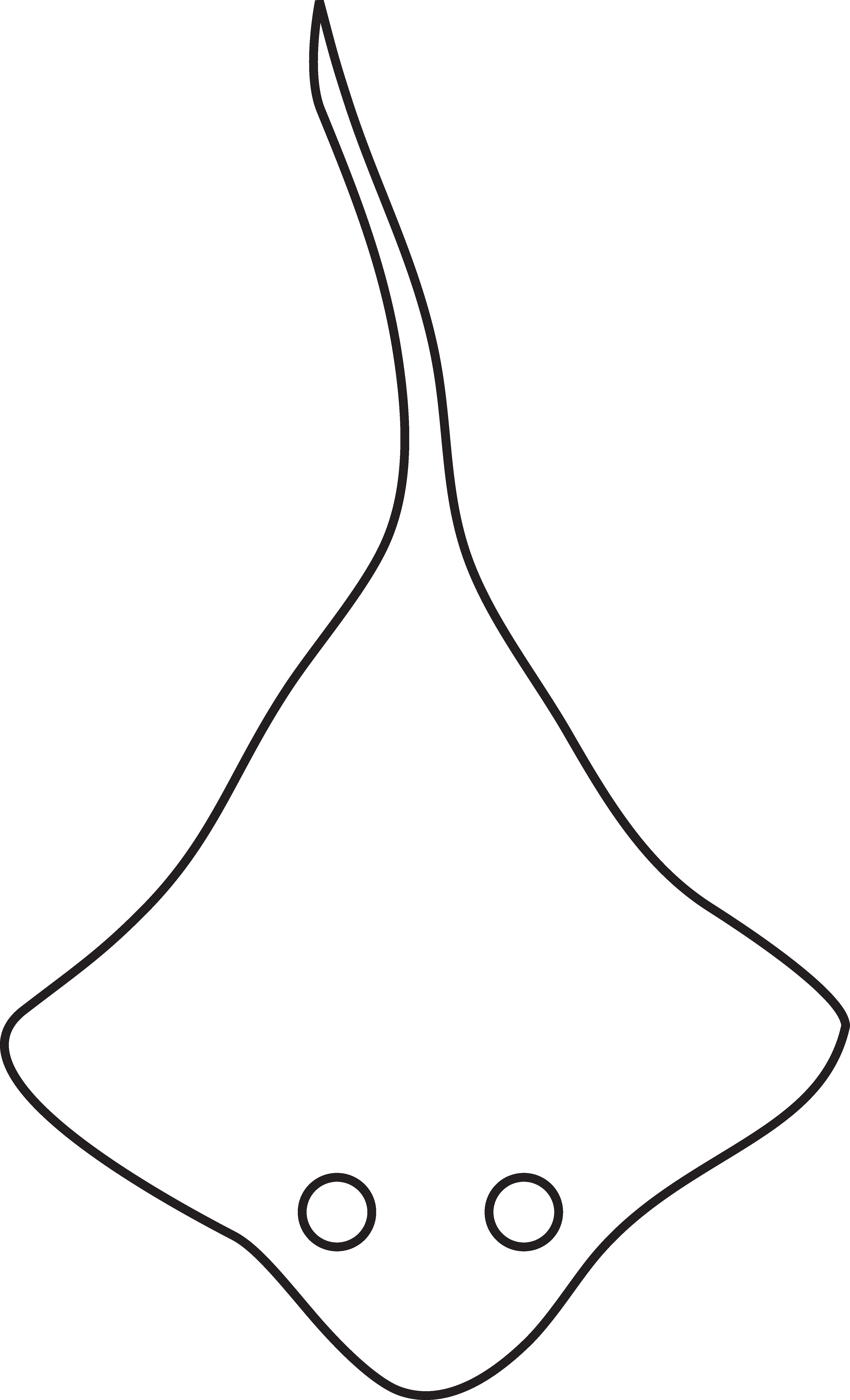 4036x6651 Colorable Stingray