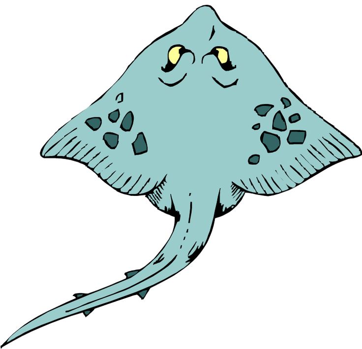 736x711 Great White Shark Clipart Stingray