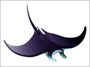 290x218 Manta Rays Clipart