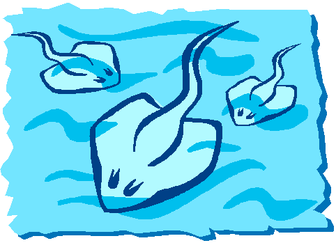 482x349 Reproducin' Rays