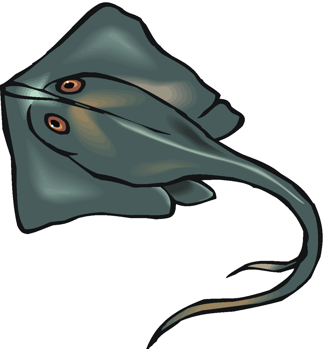 1119x1200 Stingray Clipart