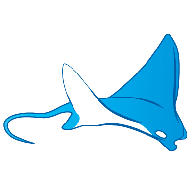 400x400 Stingray Clipart Animated
