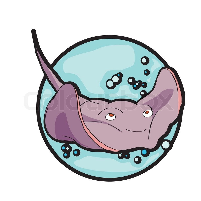 800x800 Stingray Clipart Baby