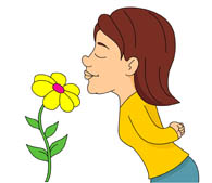 195x169 Clip Art Smell Flower Clipart
