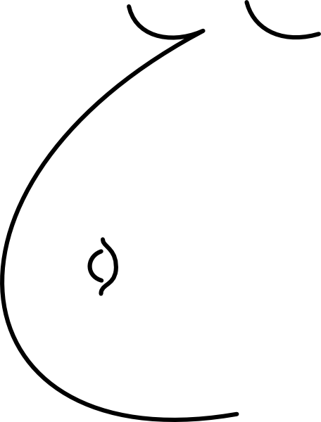 456x600 Risto Pekkala Pregnant Belly Clip Art