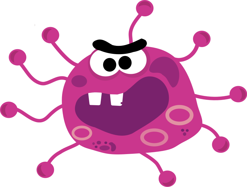 800x608 Bacteria Clip Art