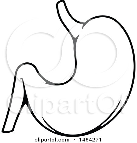 450x470 Clipart Of A Black And White Human Stomach