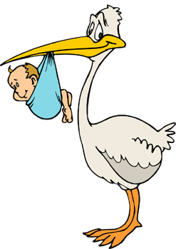 254x350 Stork Clipart Baby Carrier