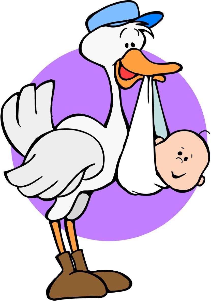830x1179 Stork Clipart Baby Delivery