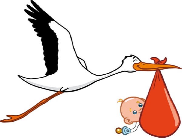 600x455 Stork Clipart Baby Logo