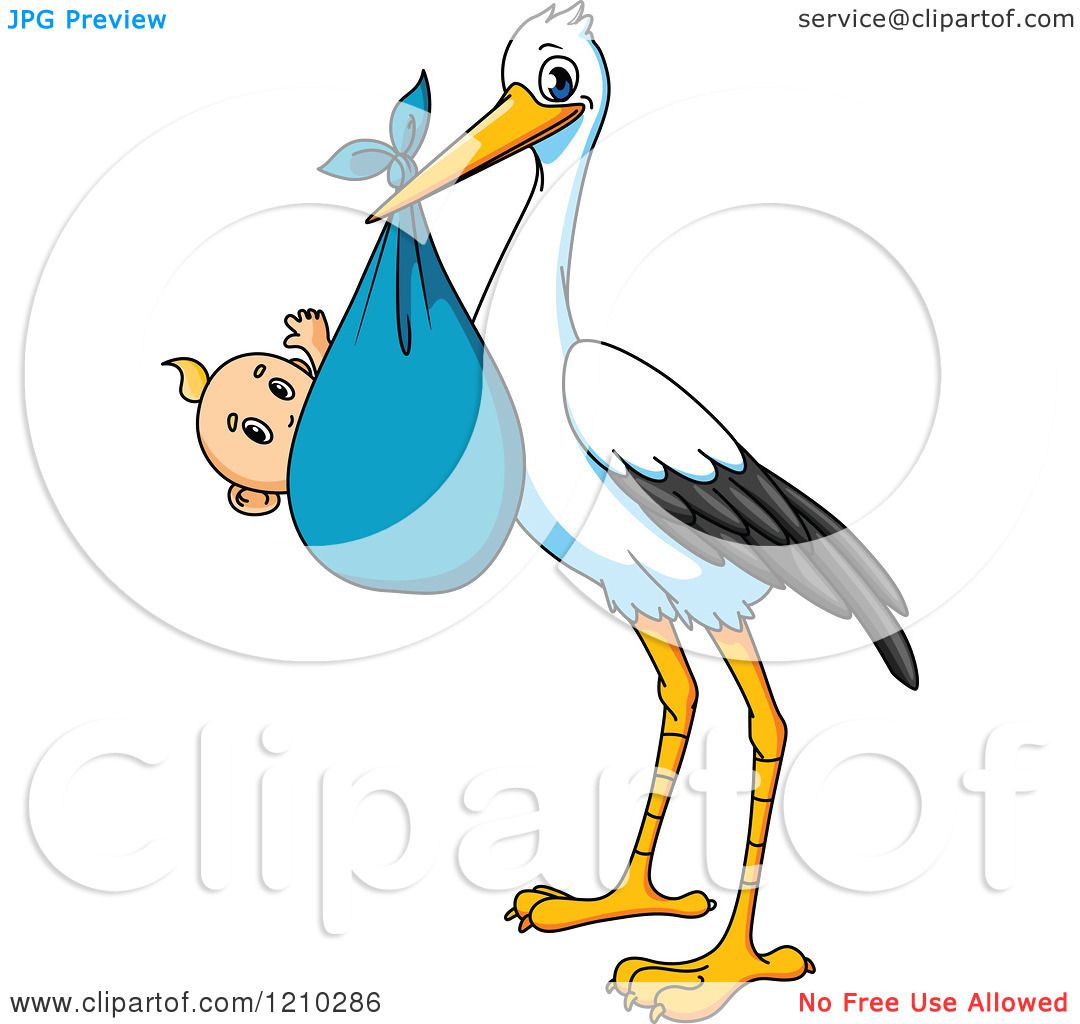 1080x1024 Royalty Free (Rf) Baby Stork Clipart, Illustrations, Vector