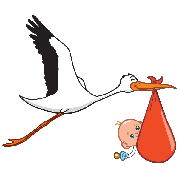 600x600 Stork Carrying Baby Boy