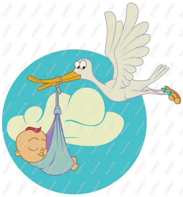 600x644 Stork Clipart Baby Png