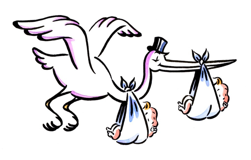 1024x654 Stork Clipart Baby Twin