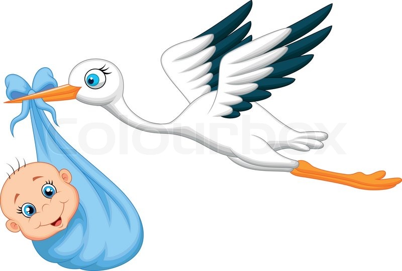 800x541 Vector Illustration Of Cartoon Stork With Baby Stock Vector
