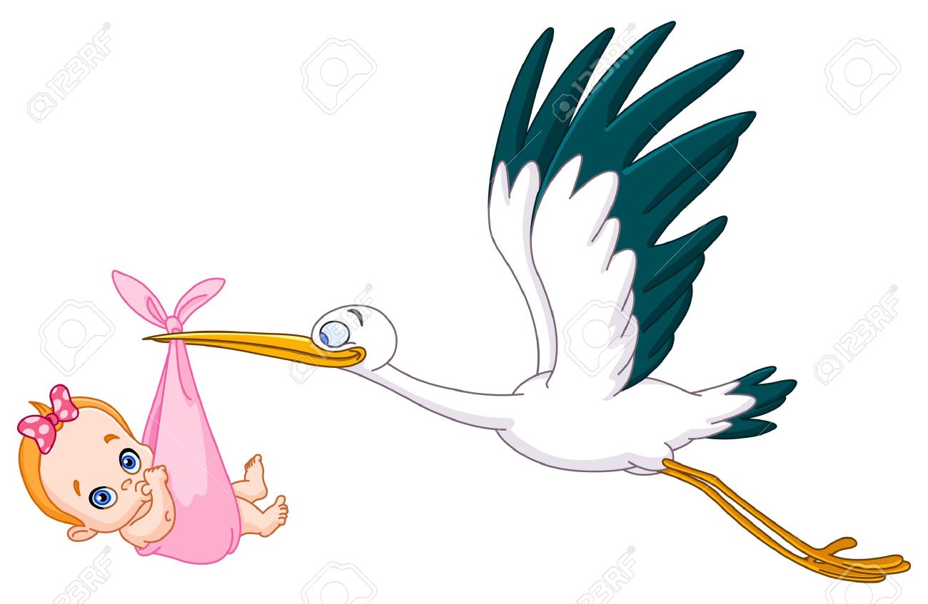 1300x847 Stork Carrying Baby Clipart