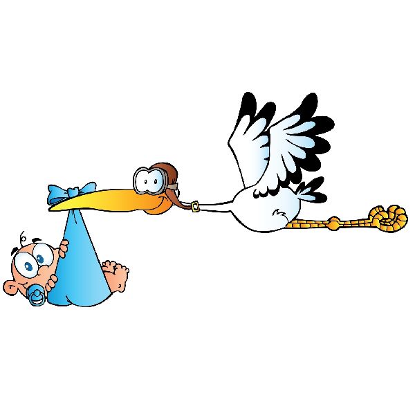 600x600 Stork Carrying Baby Clipart