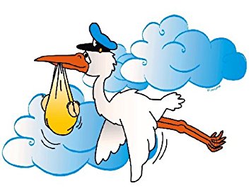 355x273 12 Baby Shower Stork Edible Cupcake Toppers