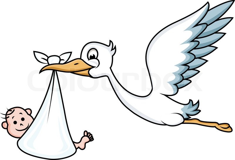 800x544 Stork Baby Babies Birth