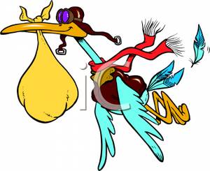 300x245 Stork Carrying A Baby In A Knapsack