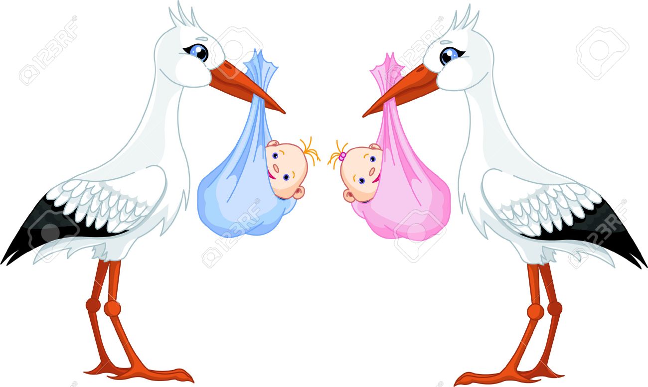 1300x777 Stork Images Amp Stock Pictures. Royalty Free Stork Photos And Stock