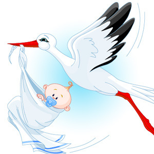 300x300 Stork With Baby Vector